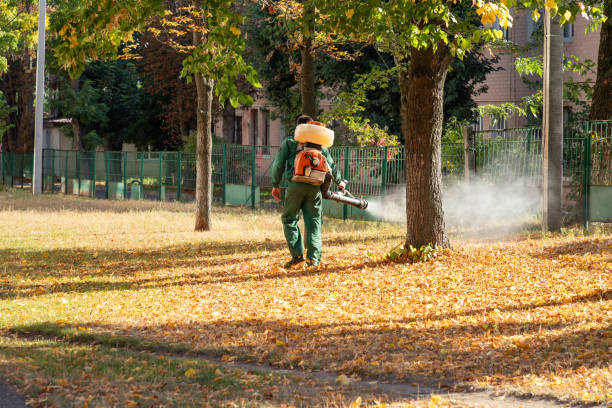 Wasp Removal Services in Bardonia, NY